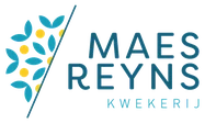 Maes Reyns Kwekerij