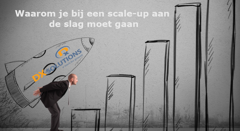Waarom je bij een scale-up aan de slag moet gaan